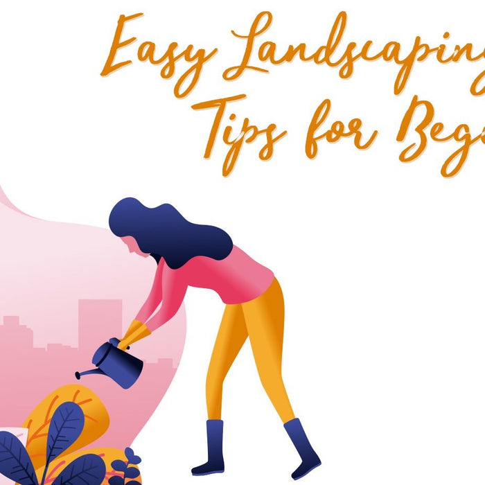 Easy Landscape Design Tips for Beginners