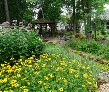Advantages of Home Irrigation Systems