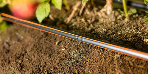 5 Advantages of Drip Irrigation