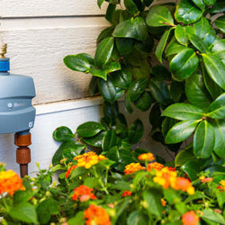 How To Turn On A Sprinkler System