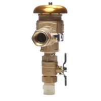 Close-up of FEBCO 765 PVB bonnet and ball valve, showing bronze body, seals and poppet for freeze protection.