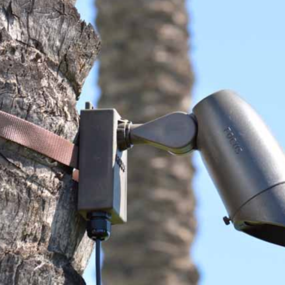 Focus - FA-111-TPS24-BRS - Focus Tree Strap Mounting System With 4 ft. Strap