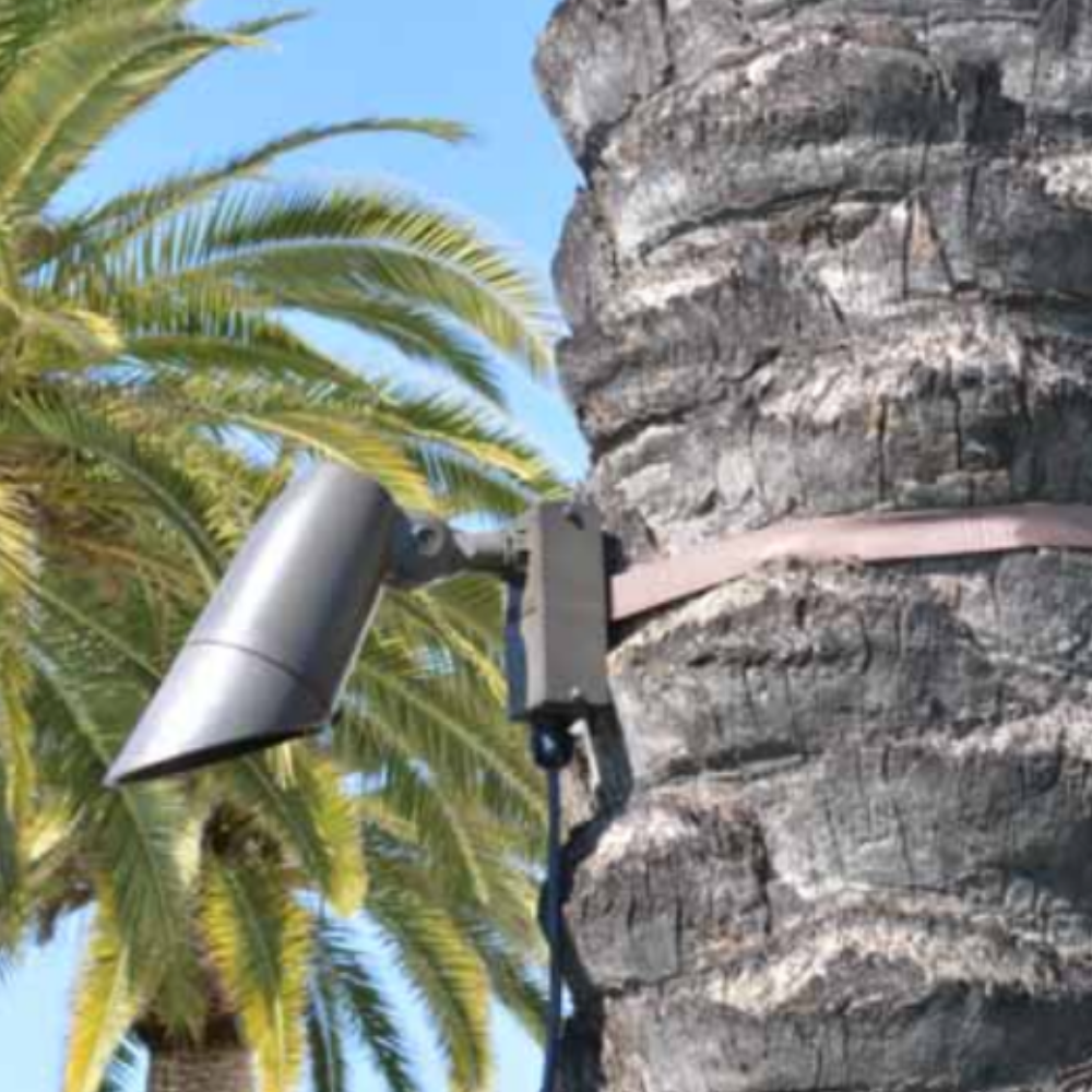 Focus - FA-111-TPS24-BRS - Focus Tree Strap Mounting System With 4 ft. Strap