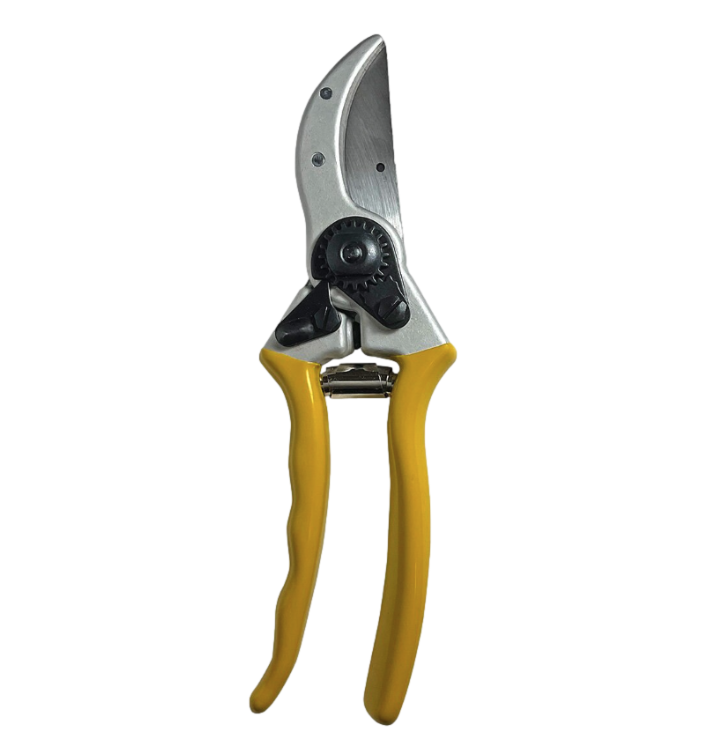 Pro-Trade PT-BP2-100 bypass pruner shown full-length with forged aluminum handle and hardened steel cutting blade, 1 in. capacity.