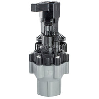 Close-up of Rain Bird 075ASVF 3/4-inch anti-siphon valve solenoid and flow-control screw, plastic valve body and threaded outlet clearly visible for installation reference.