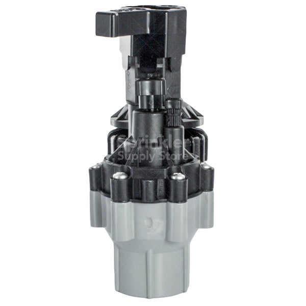 Close-up of Rain Bird 075ASVF 3/4-inch anti-siphon valve solenoid and flow-control screw, plastic valve body and threaded outlet clearly visible for installation reference.