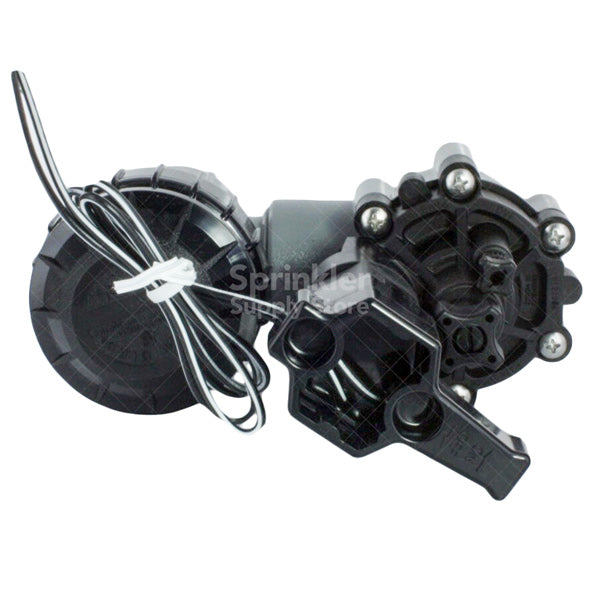 Rain Bird 075ASVF 3/4-inch anti-siphon valve side view showing integrated vacuum breaker, flow-control dial, and 24 VAC solenoid assembly for irrigation systems.