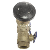 Wilkins 12-720A 1/2" PVB assembly mounted, displaying the two test cocks, ball valves, and overall bronze construction for irrigation use.