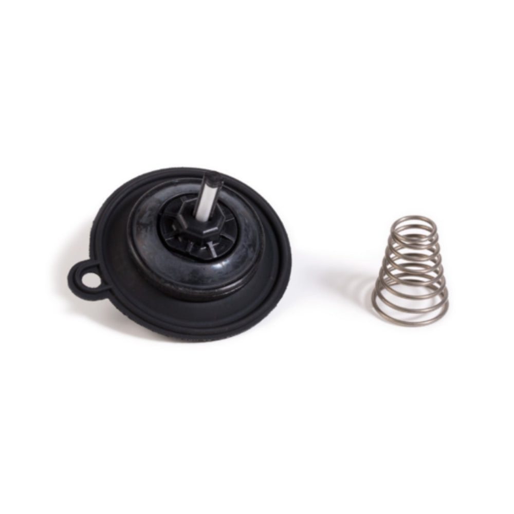 Rain Bird 208143 replacement diaphragm assembly and screen for 1-inch PEB valve, close-up product photo on white background, black rubber diaphragm visible.
