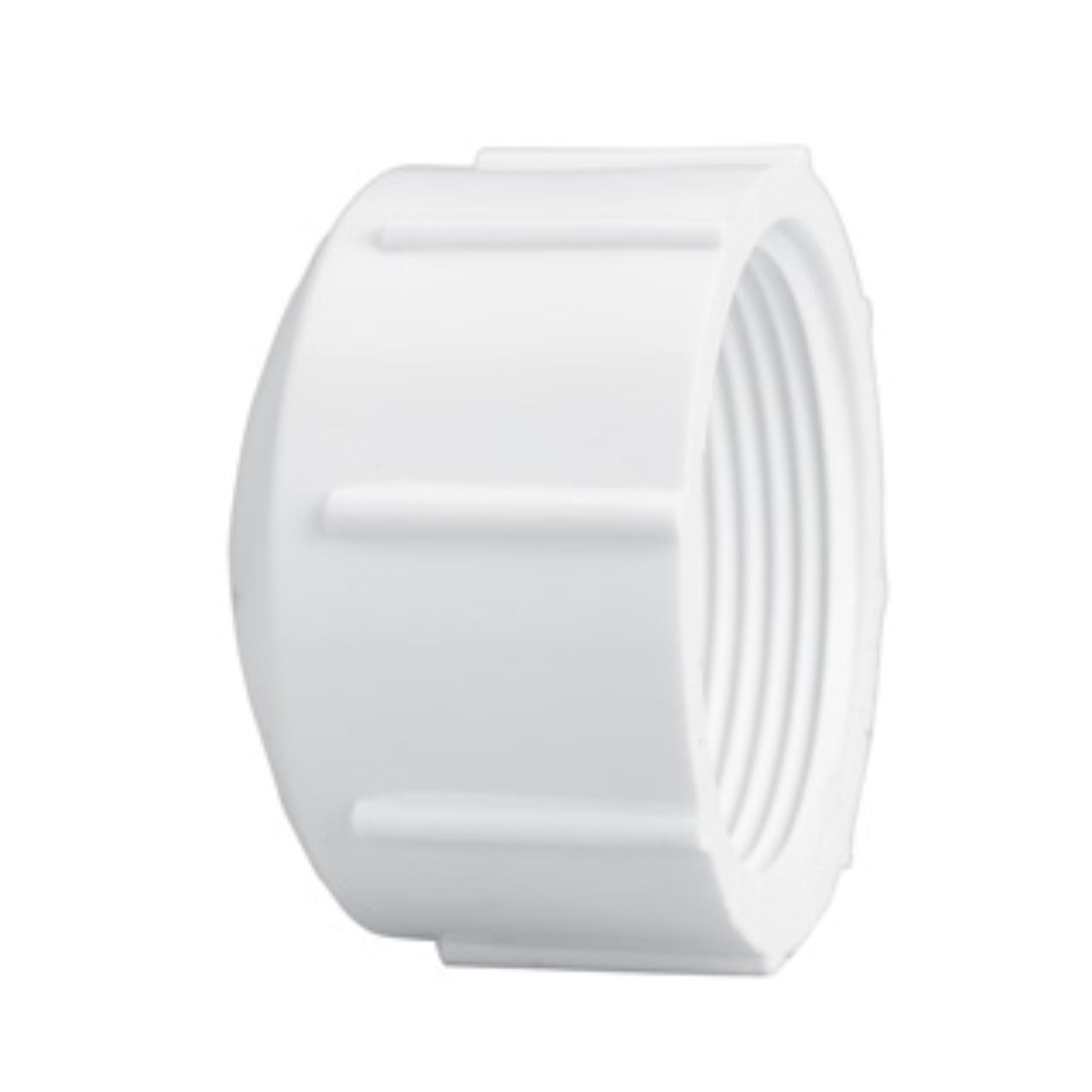 Close-up of 1-1/4" PVC threaded cap (FIPT) showing domed face and internal female threads on a white background, product studio photo
