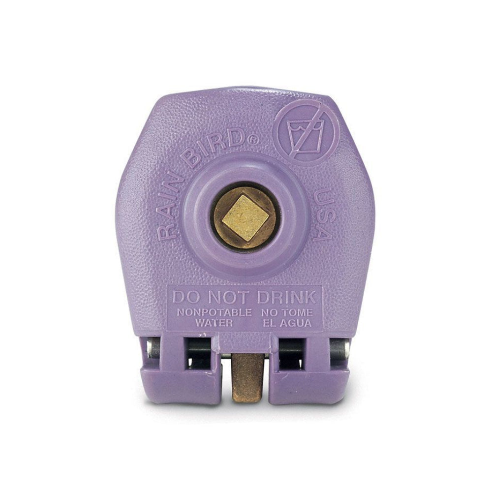 Rain Bird 44NP 1-inch non-potable quick-coupling valve with purple locking rubber cover, red brass two-piece body, and stainless-steel spring (front view).