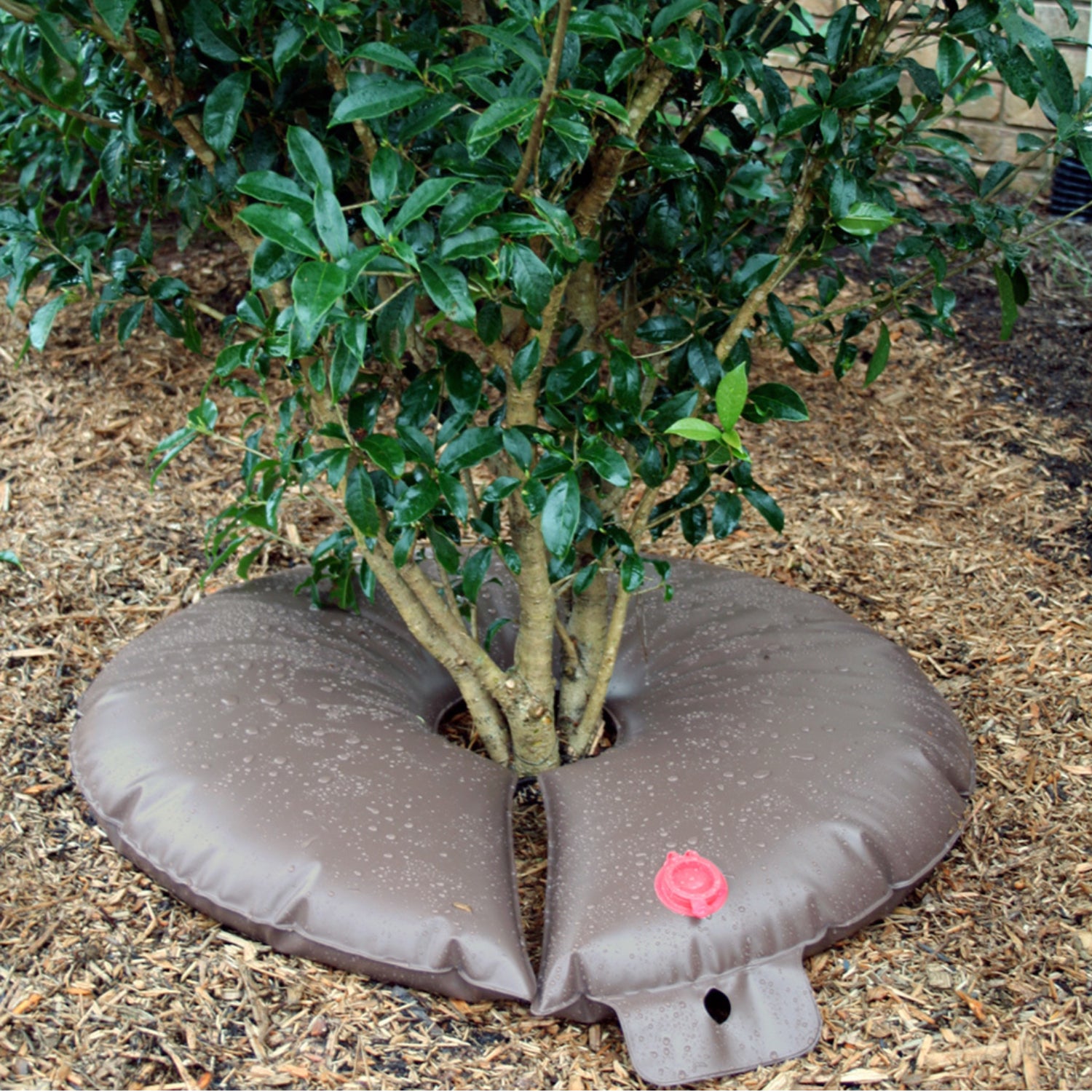 Side angle of the TreeGator Junior Pro bag demonstrating low-profile brown design and zipper closure placed around a small tree on mulch.