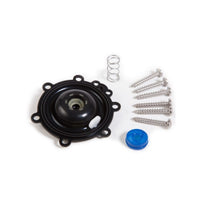 Rain Bird diaphragm repair kit components: black rubber diaphragm with preinstalled filter, solenoid filter, six screws and a spare spring
