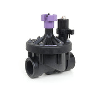 Front-angle photo of Rain Bird 150PESB-R 1-1/2" scrubber reclaimed-water valve showing purple cap and solenoid.