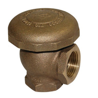 Febco 710 Series 1-1/4 in AVB bronze unit showing female NPT connections and poppet assembly.