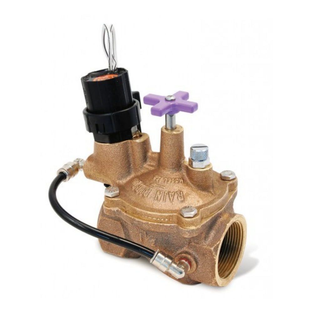 Rain Bird 200EFBCP EFB-CP 2" brass irrigation valve, close view showing solenoid and purple non-potable handle cover.