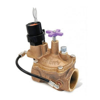 Rain Bird 200EFBCP EFB-CP 2" brass irrigation valve, close view showing solenoid and purple non-potable handle cover.