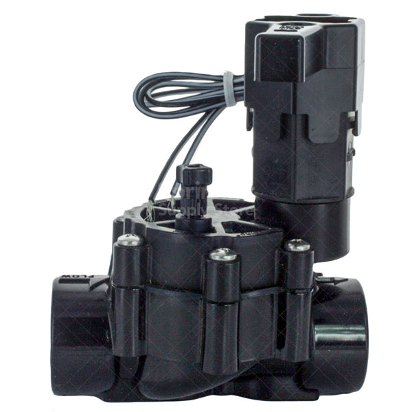 Rain Bird 100DVSS 1-inch slip x slip electric irrigation valve front angle view showing solenoid and bonnet, durable plastic body.