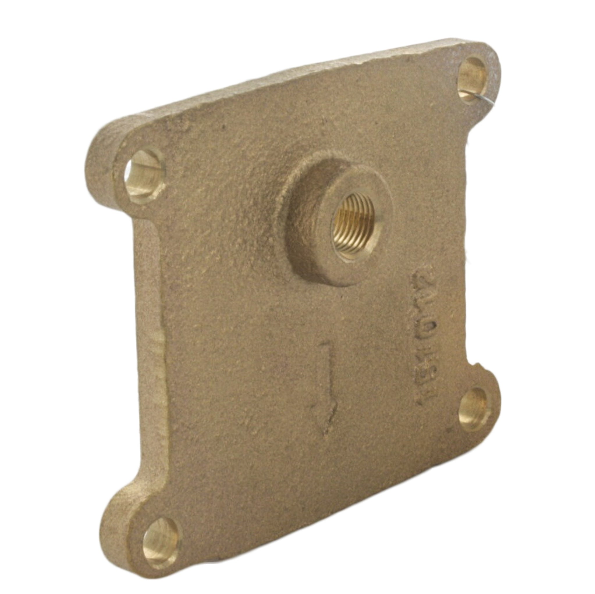 Rear view of Febco 110-035 cover plate showing interior recess for the O-ring and the sealing surface for the backflow assembly.