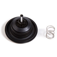 Rain Bird 209675 diaphragm repair kit showing replacement diaphragm and filter screen on white background.