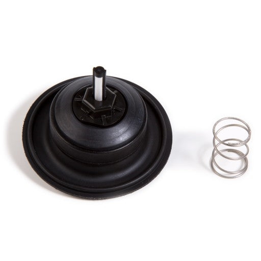 Rain Bird 209675 diaphragm repair kit showing replacement diaphragm and filter screen on white background.