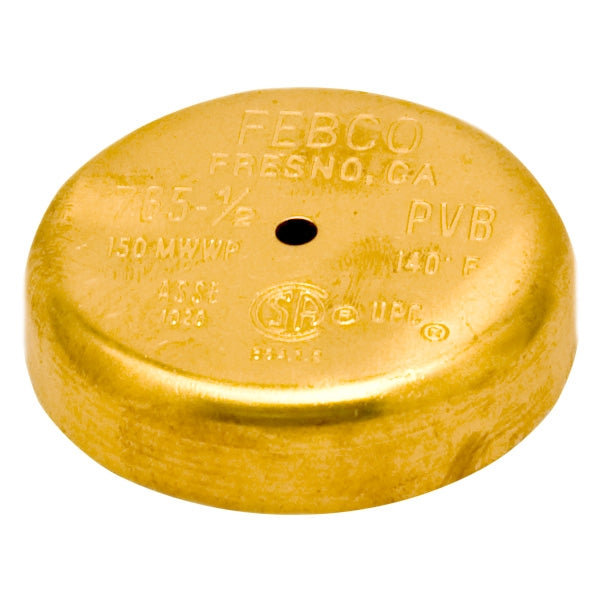 Febco 300-093 Canopy, 3/4