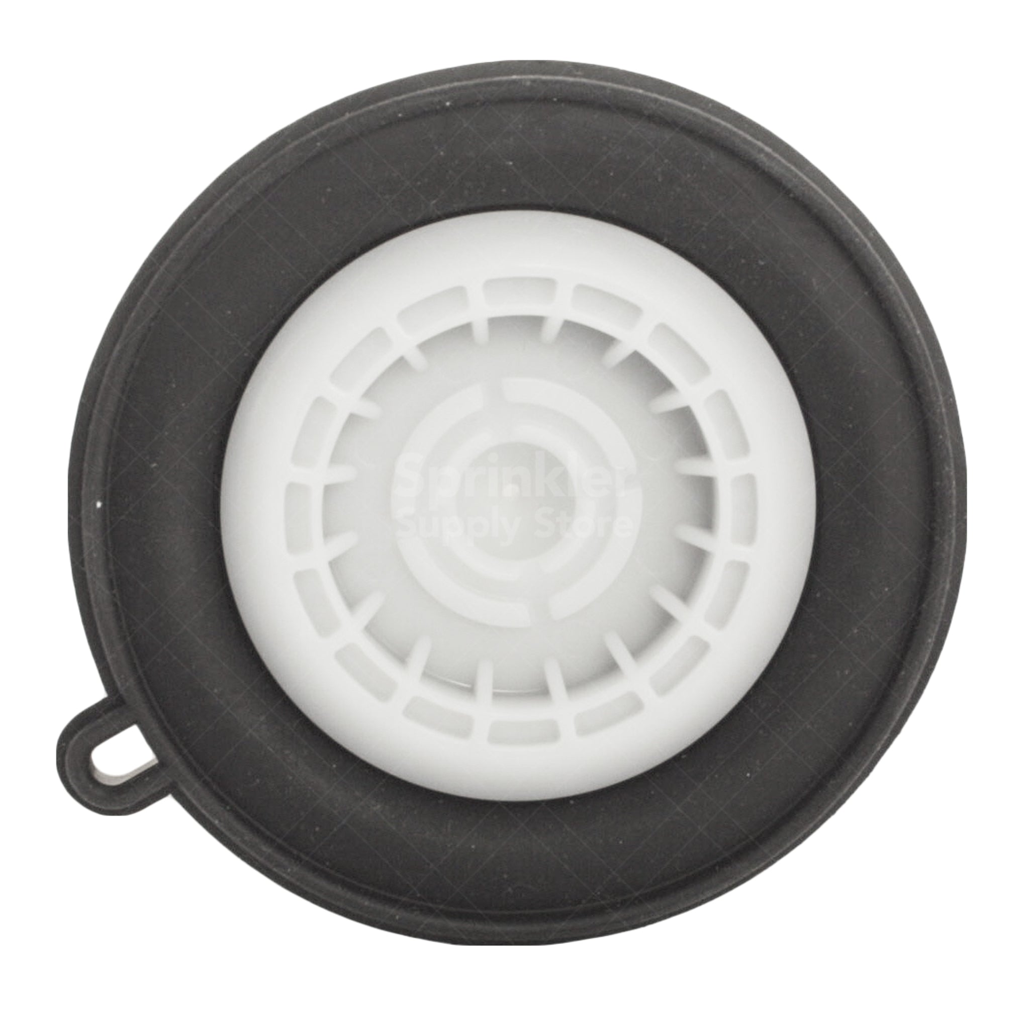 Packaging and parts view of Hunter 415600 diaphragm assembly for 2 in. PGV valve, suitable for inventory and identification.