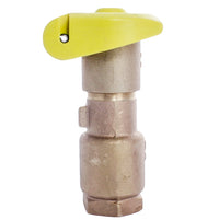 Close-up of Rain Bird 44LRC 1" locking quick-coupling valve with red-brass two-piece body and rubber locking cover.