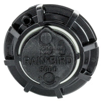Side view of Rain Bird 5006PC rotor extended to 6 in pop-up height, showing riser stem, body, and adjustment screw for arc settings.