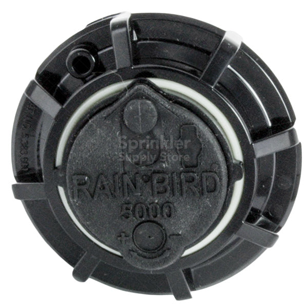 Side view of Rain Bird 5006PC rotor extended to 6 in pop-up height, showing riser stem, body, and adjustment screw for arc settings.