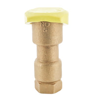 Front view of Rain Bird 5RC 1-inch quick-coupling valve showing rubber cover and red brass one-piece body on white background, 5½" high.