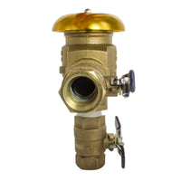 Febco 765 1-inch pressure vacuum breaker mounted with visible union-end ball valve and test cocks for field servicing and testing.