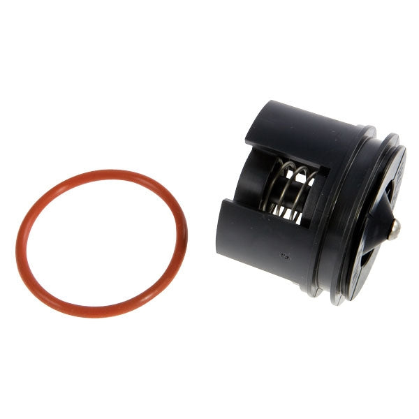Febco check module 905-349, close-up of metal valve assembly and 1-inch NPT end connections for Series 850/860/880.
