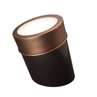 Apollo in-ground well light in weathered brass showing ABS composite housing, precision brass debris grate, and adjustable stainless gimble ring, photographed from above.