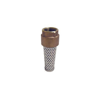 Angled product photo of FVNL200BS lead-free brass foot valve (2-inch), highlighting the flange, finish, and external connection profile.