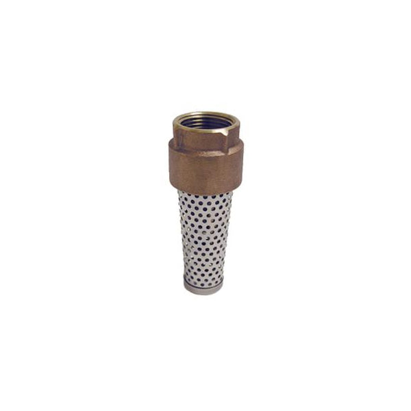 Angled product photo of FVNL200BS lead-free brass foot valve (2-inch), highlighting the flange, finish, and external connection profile.