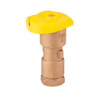 Hunter HQ5LRCR quick coupling valve with 1-inch FIPT inlet, yellow rubber locking cover and stainless steel components