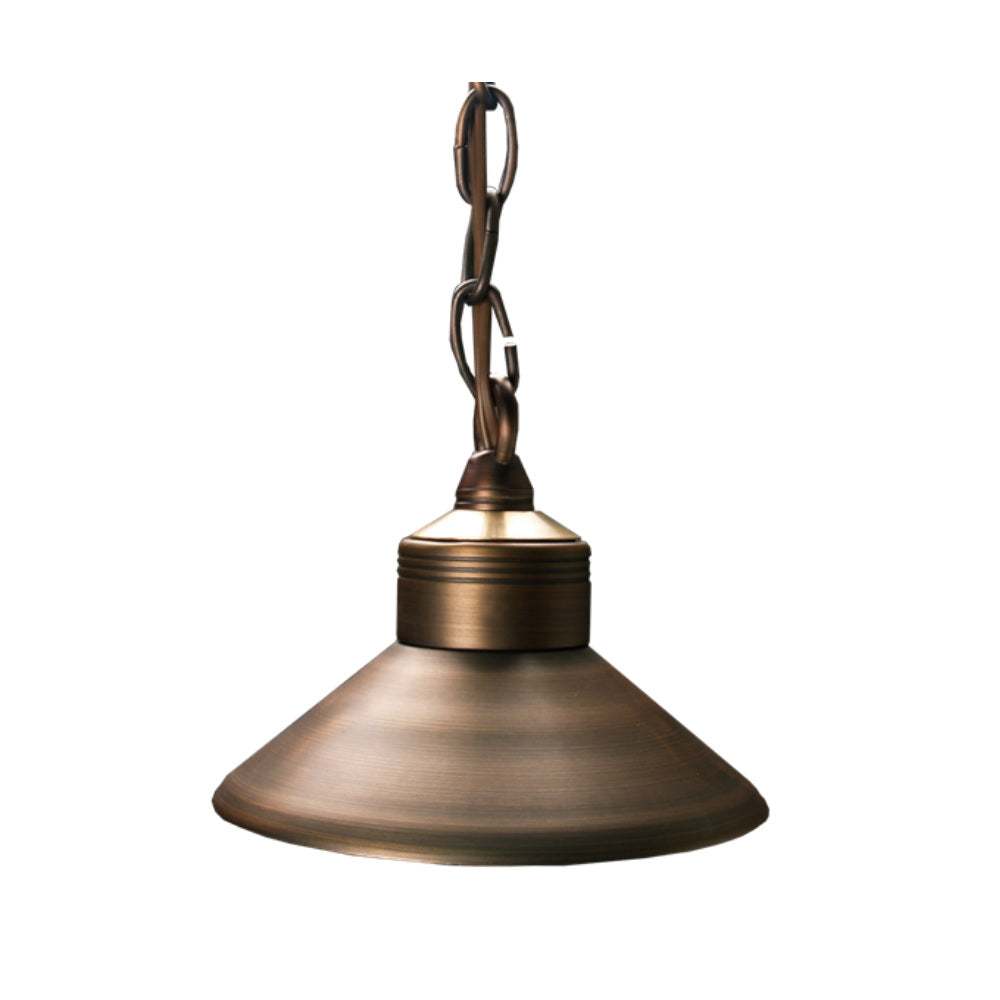 Observer hanging landscape light in weathered brass finish shown without bulb, downward-facing shade, chain and mounting hook