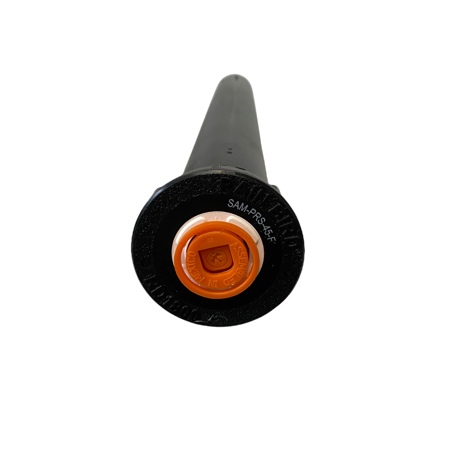 Side profile of Rain Bird RD1800 RD12SP45F spray head displaying 16-inch body height, 12-inch pop-up riser and 1/2-inch female inlet orientation.