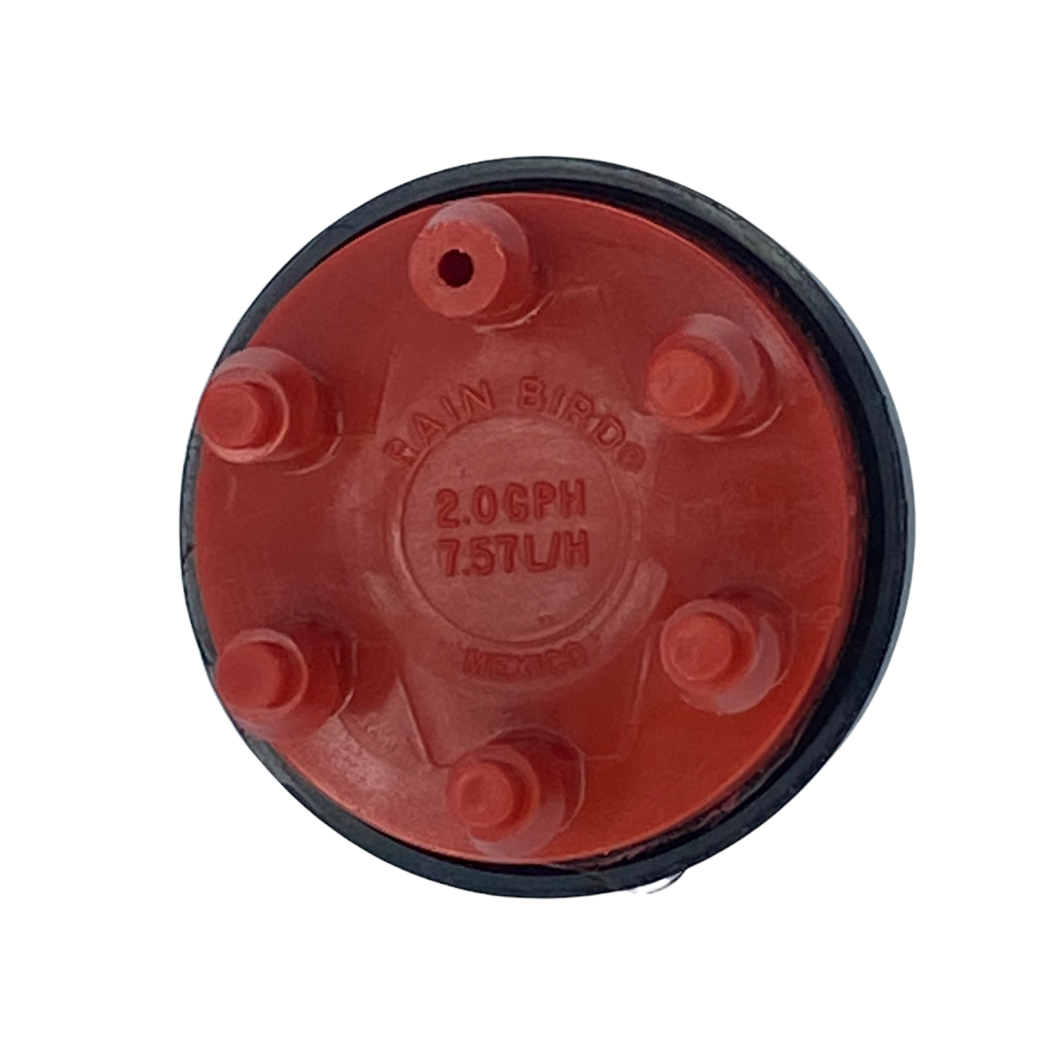 Close-up of red Xeri-Bug outlet tips and barb connections showing six-port layout, designed for 1/4 inch distribution tubing