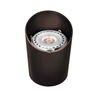 Pro-Trade WL1 black composite in-ground well light with adjustable stainless steel PAR36 gimbal; no lamp.