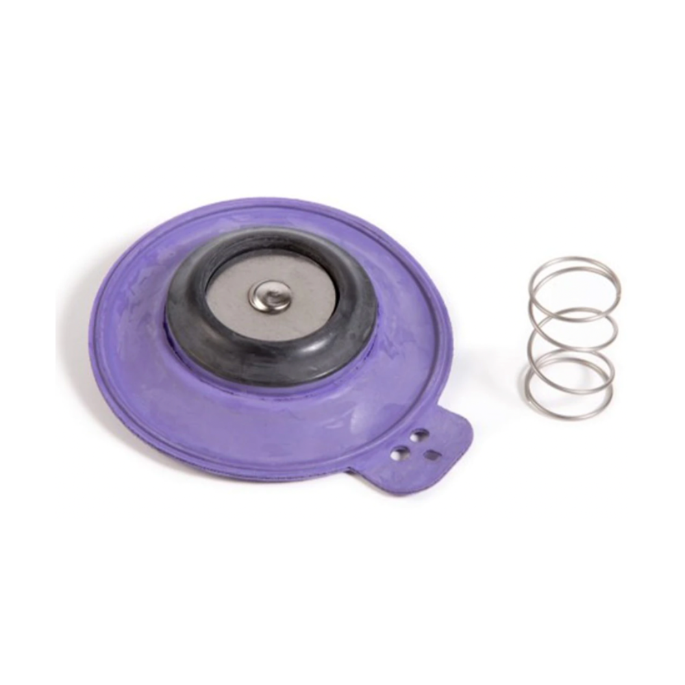 Rain Bird 202614P diaphragm assembly repair kit photographed on white background, compatible with 150 EFA and GB valves