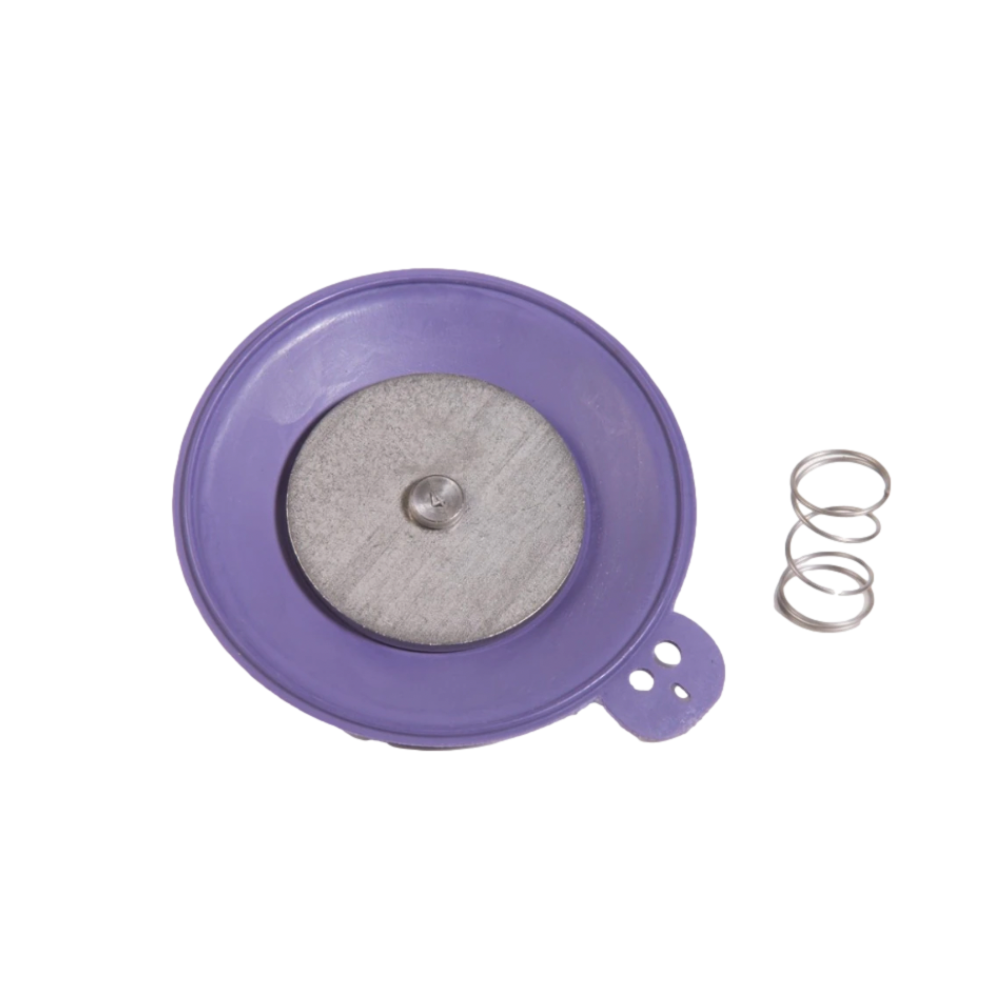 Rain Bird diaphragm repair kit (part 202615P) for 2-inch 200EFA/200G irrigation valves, showing replacement diaphragm assembly and spring for repair.