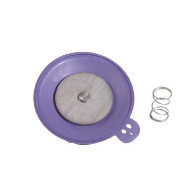 Rain Bird diaphragm repair kit (part 202615P) for 2-inch 200EFA/200G irrigation valves, showing replacement diaphragm assembly and spring for repair.