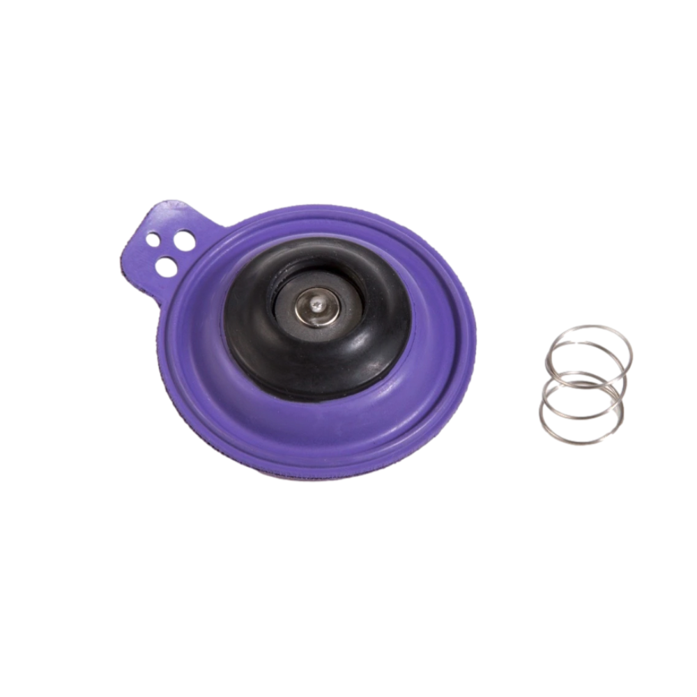 Rain Bird 202868P diaphragm repair kit product image showing diaphragm and spring on white background, front view