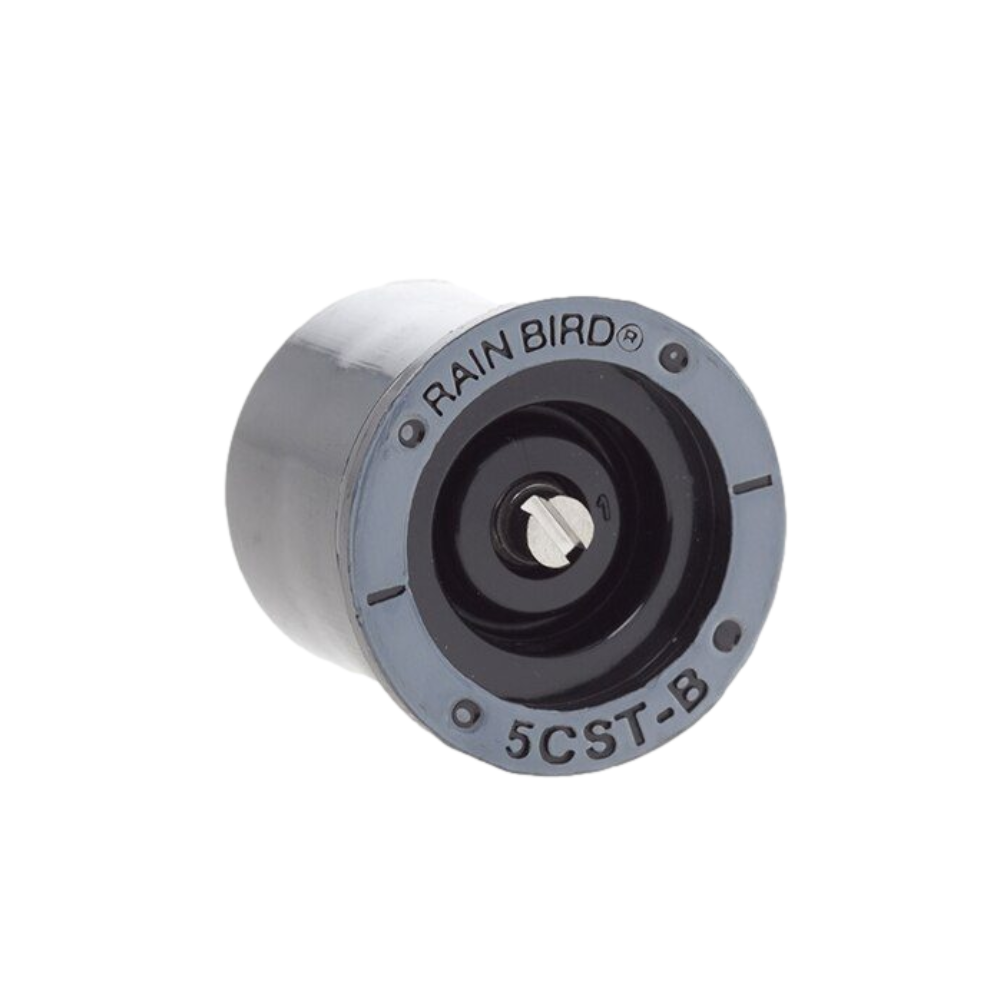 Product image of Rain Bird R5CSTB center-strip bubbler nozzle showing top color, adjustment screw, and compact plastic body for 5 ft radius coverage.