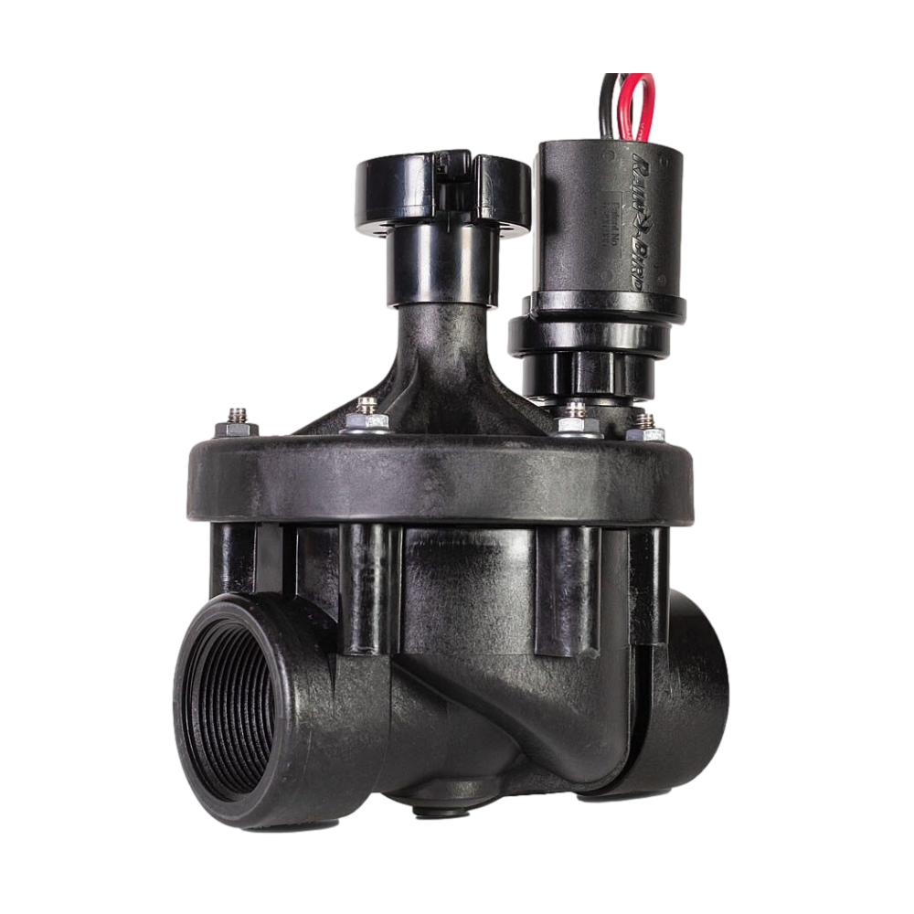 Rain Bird PESB IVM Industrial Scrubber Valve with Flow Control