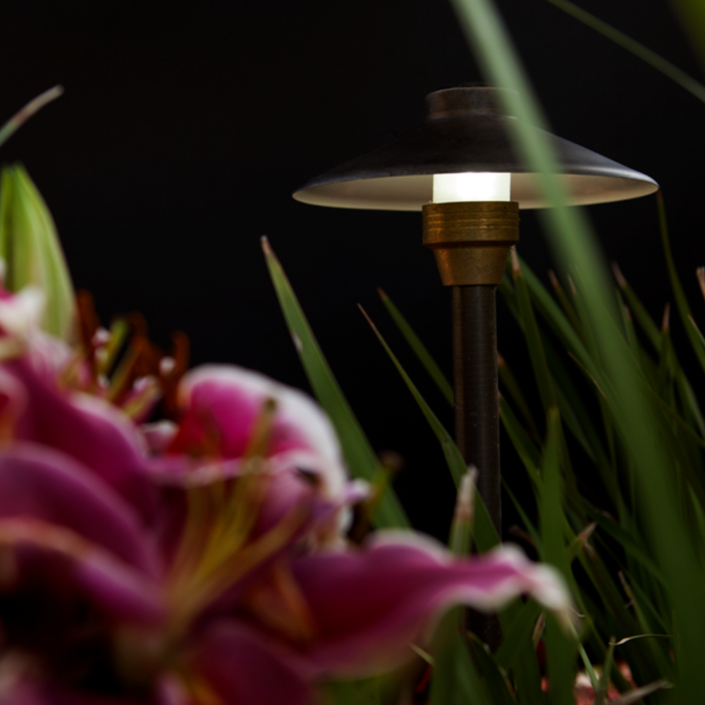 Unique Centaurus 8 in Path Light with 12 in Riser — Weathered Brass