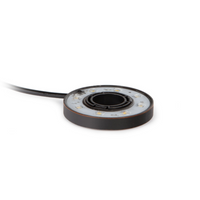 Front view of Atlantic Water Gardens WWRL5 warm white 5W brass ring fountain light with oil‑rubbed bronze finish and quick‑connect cord.