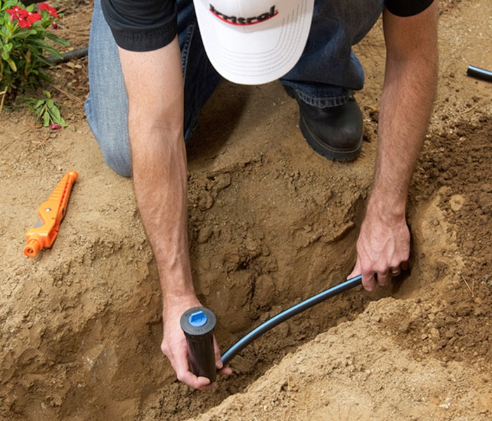 Installed-location photo of Irritrol Super Blue Flex swing pipe routing to a spray head, demonstrating flexibility and placement in landscape.
